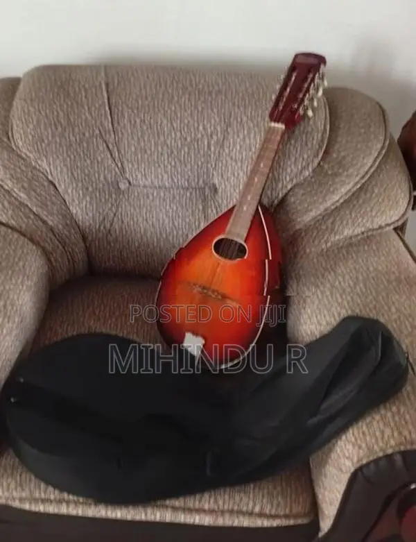 Brand new Mandolin
