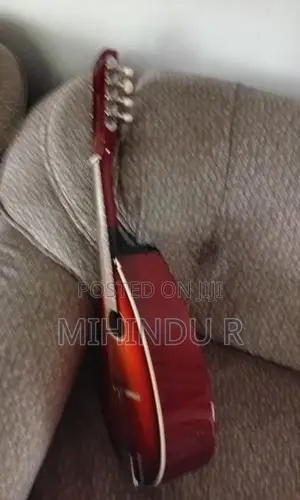 Brand new Mandolin