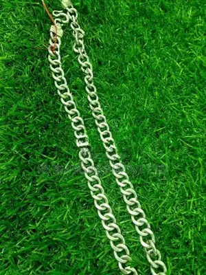 Silver Chain
