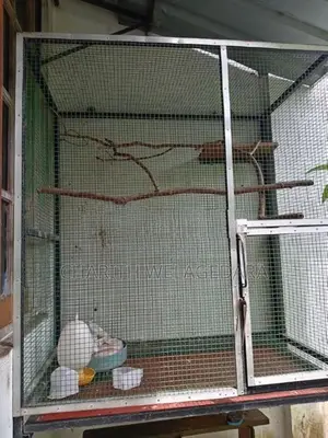 Cockatiel Cage