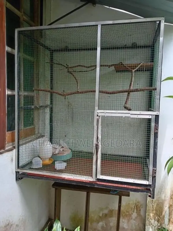 Cockatiel Cage
