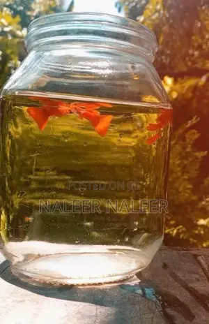 Albino Full Red Fish