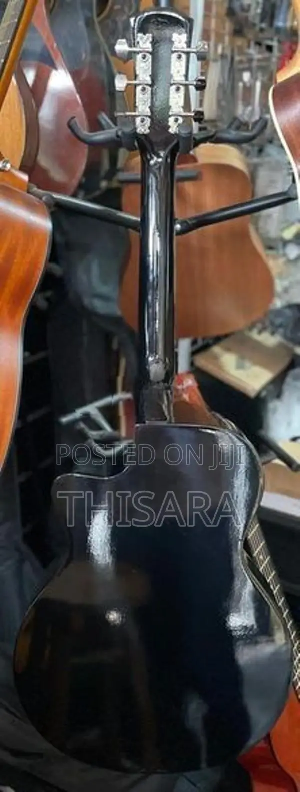 Acoustic Guitar