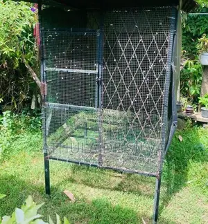 Bird Cage with Birds