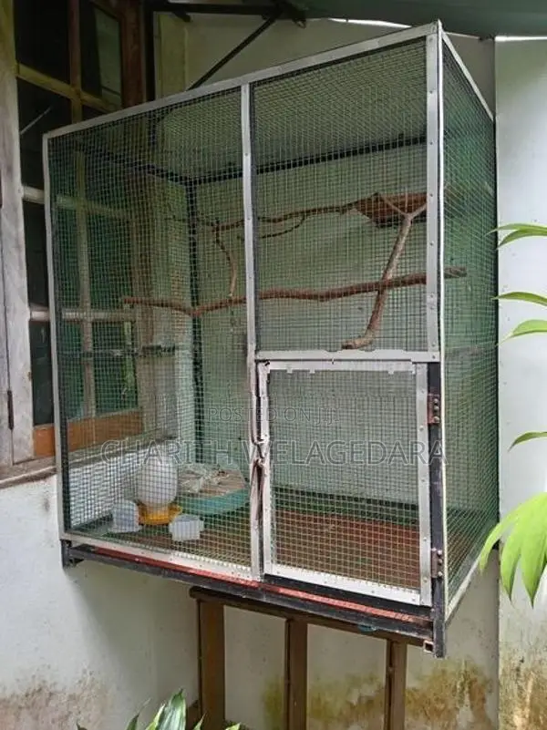 Cockatiel Cage