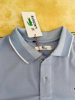 crocodile T shirt