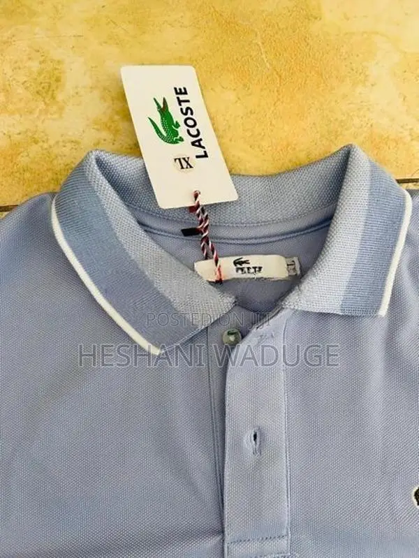 crocodile T shirt