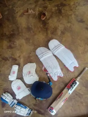 cricket set