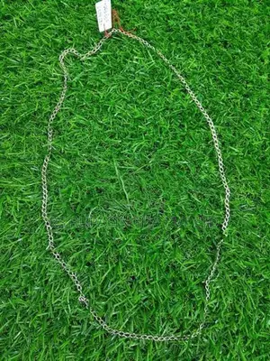 Silver Chain