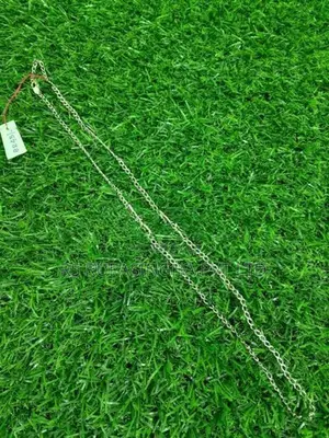 Silver Chain