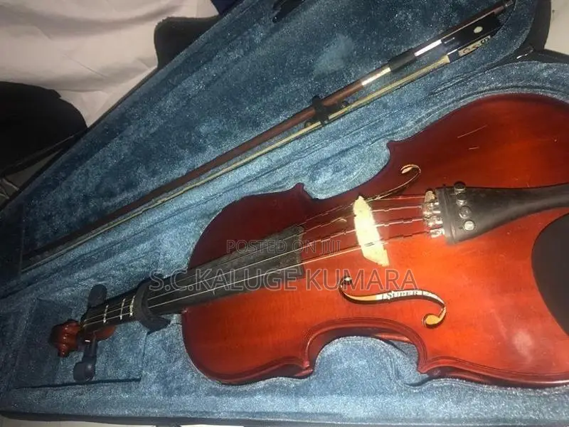Violin with Hard Case