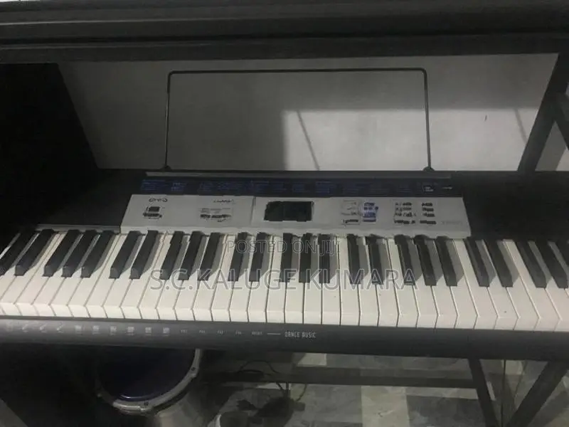Casio Electronic Keyboard