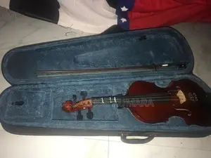Violin with Hard Case