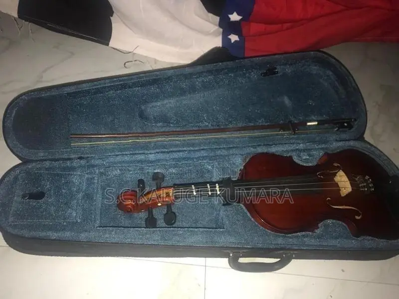 Violin with Hard Case