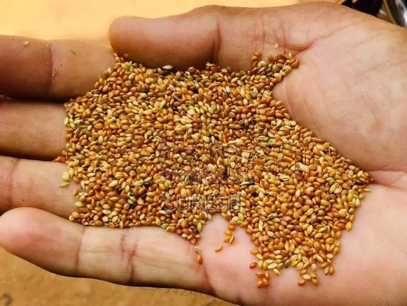 தினை சாமி