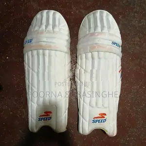 Cricket Set