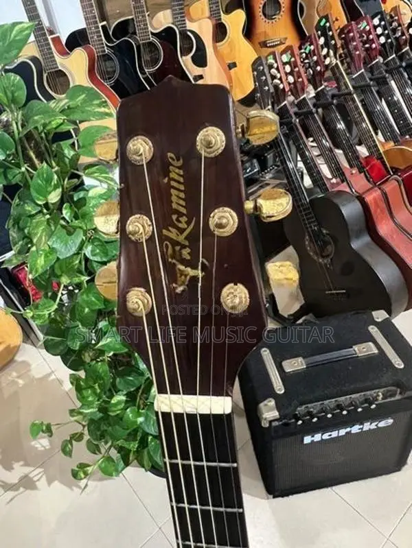 Japan Takamine Acoustic Electric Guitar
