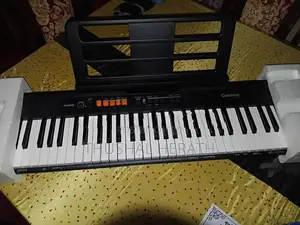 Casio Ct S100