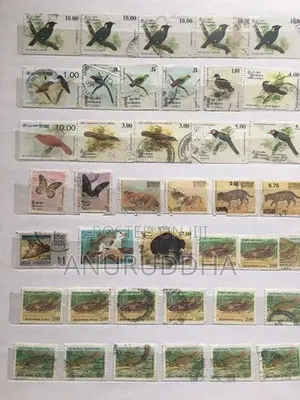 Stamp Album