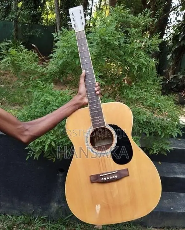Acoustic Guitar