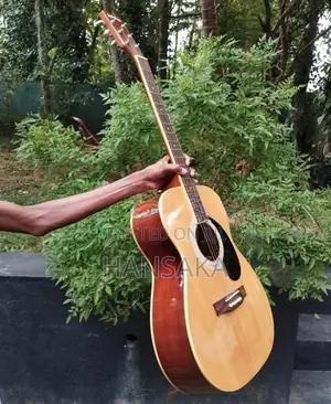 Acoustic Guitar