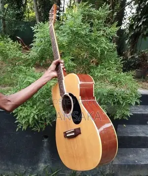 Acoustic Guitar