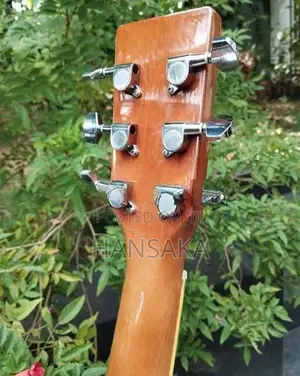 Acoustic Guitar