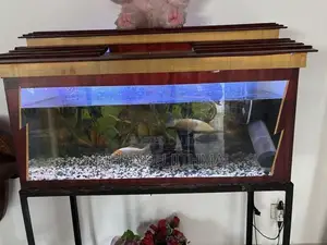 Fish Tank