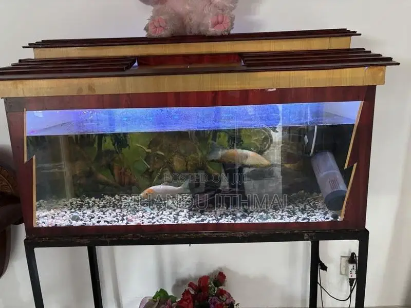 Fish Tank