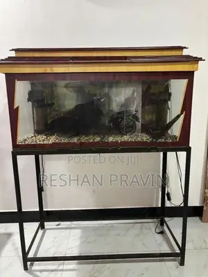 Fish Tank