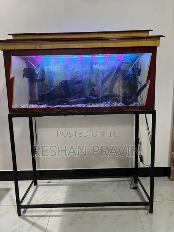 Fish Tank