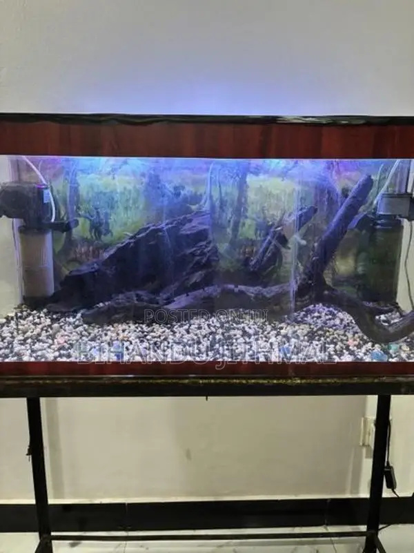 Fish Tank
