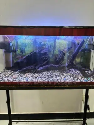 Fish Tank