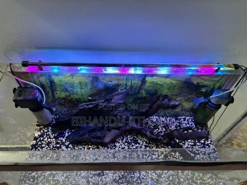 Fish Tank