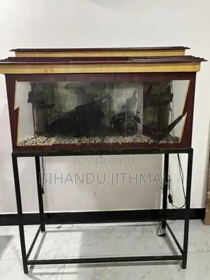 Fish Tank