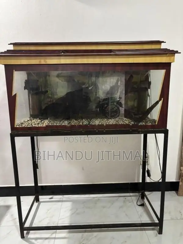 Fish Tank
