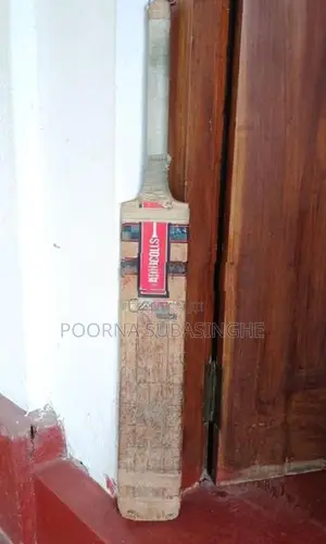 Leather Bat