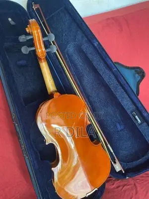 Violin