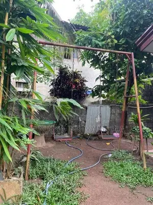 garden swing chair