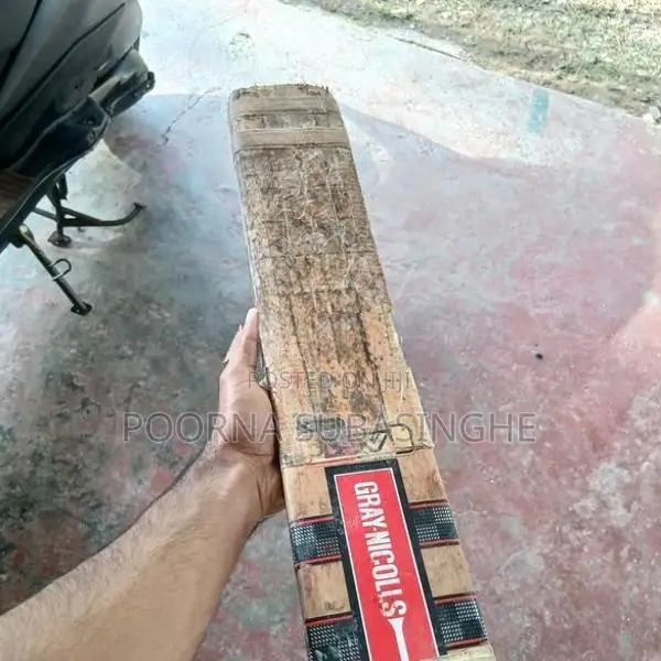 Leather Bat