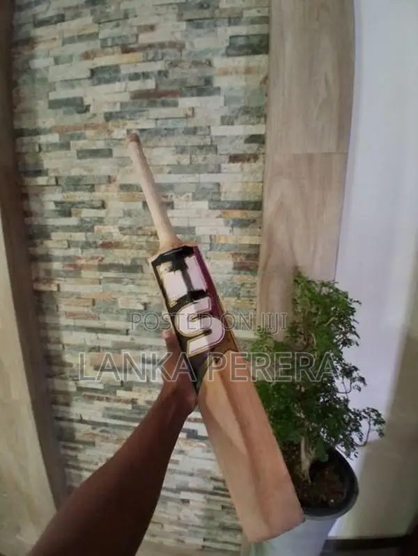 cricket bat