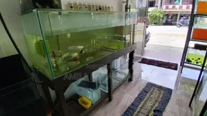 5ft fish tank