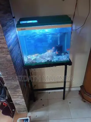 fish tank