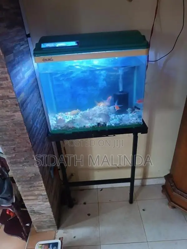 fish tank