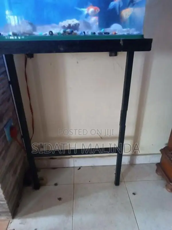 fish tank