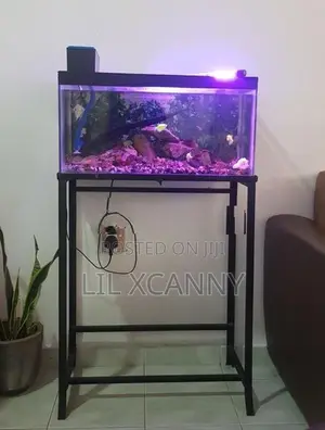 2 Ft Aquarium Fish Tank with Stand