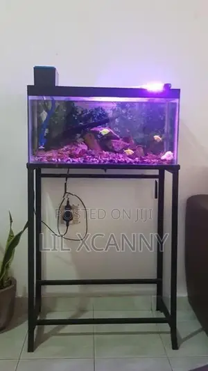 2 Ft Aquarium Fish Tank with Stand