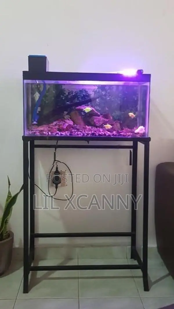 2 Ft Aquarium Fish Tank with Stand