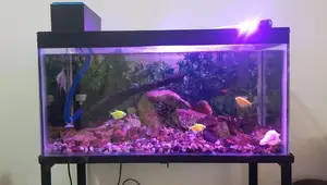 2 Ft Aquarium Fish Tank with Stand