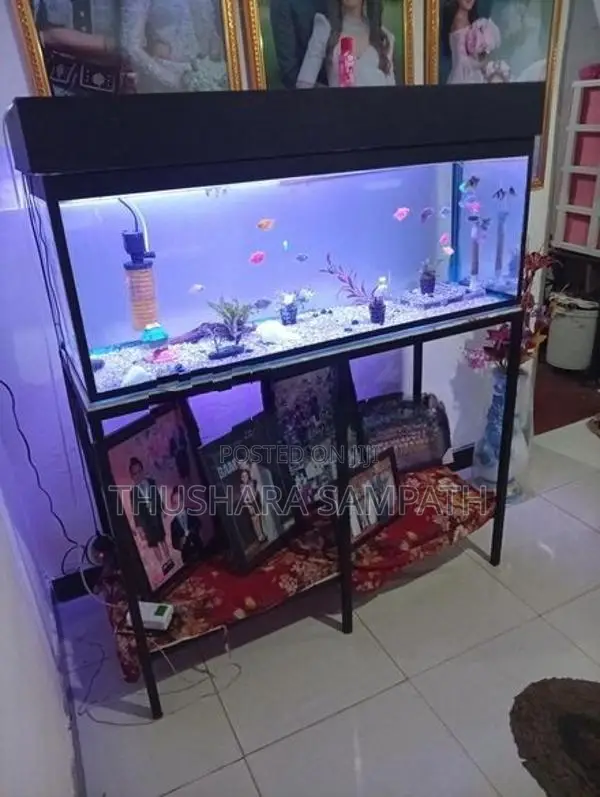 Fish Tank